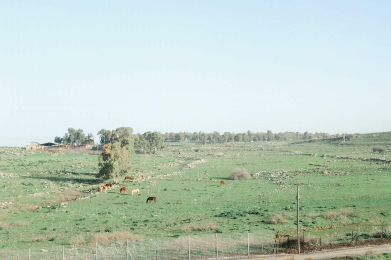 Villa קדמת צבי Exterior foto